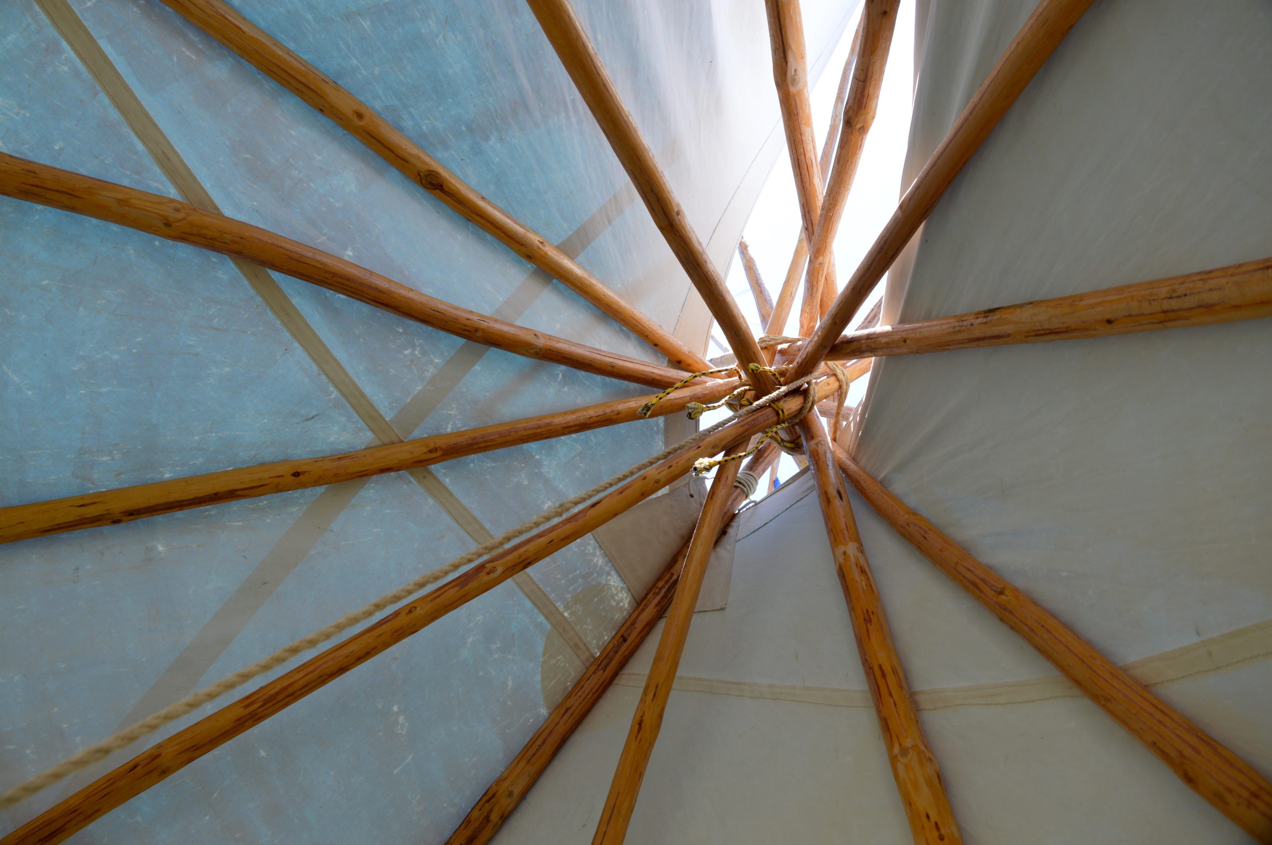 AdobeStock 87922657 scaled AdobeStock 87922657 scaled